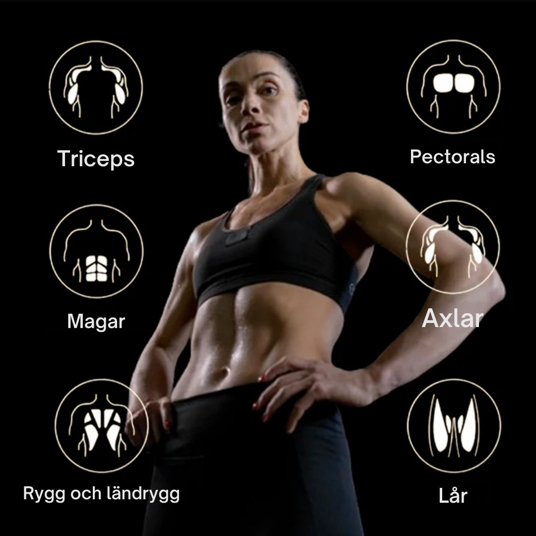 Ab Roller Kit Ultimate Core Trainer