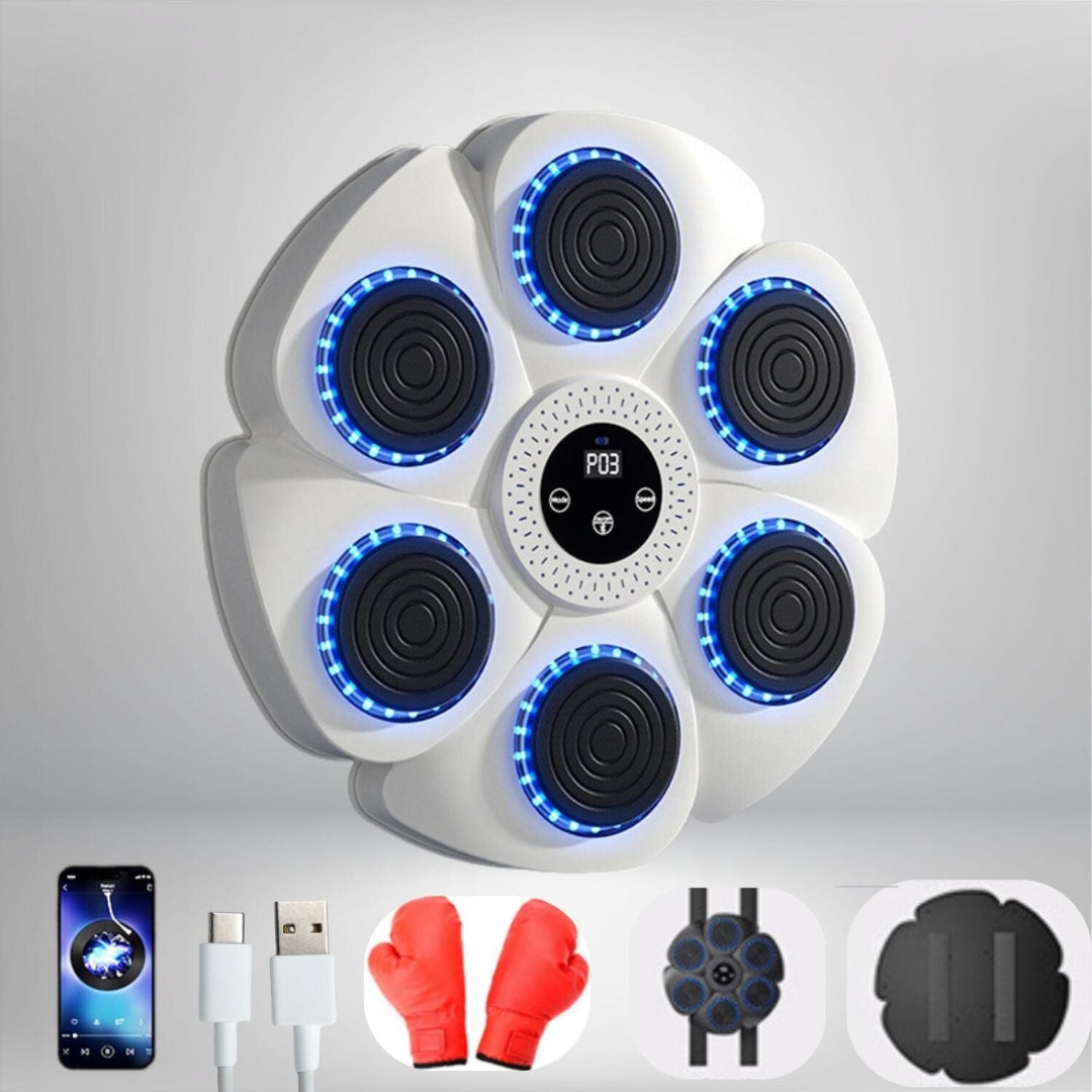 BoxPro Smart boxningsmaskin