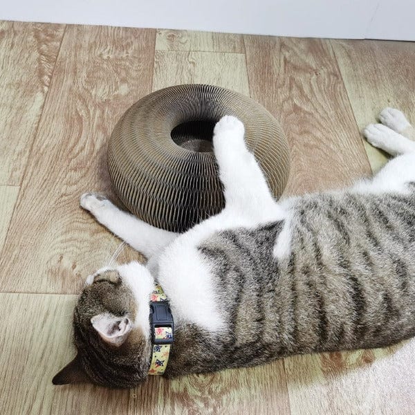 FlexiScratch Deluxe – De Ultieme Kattenklösleksak